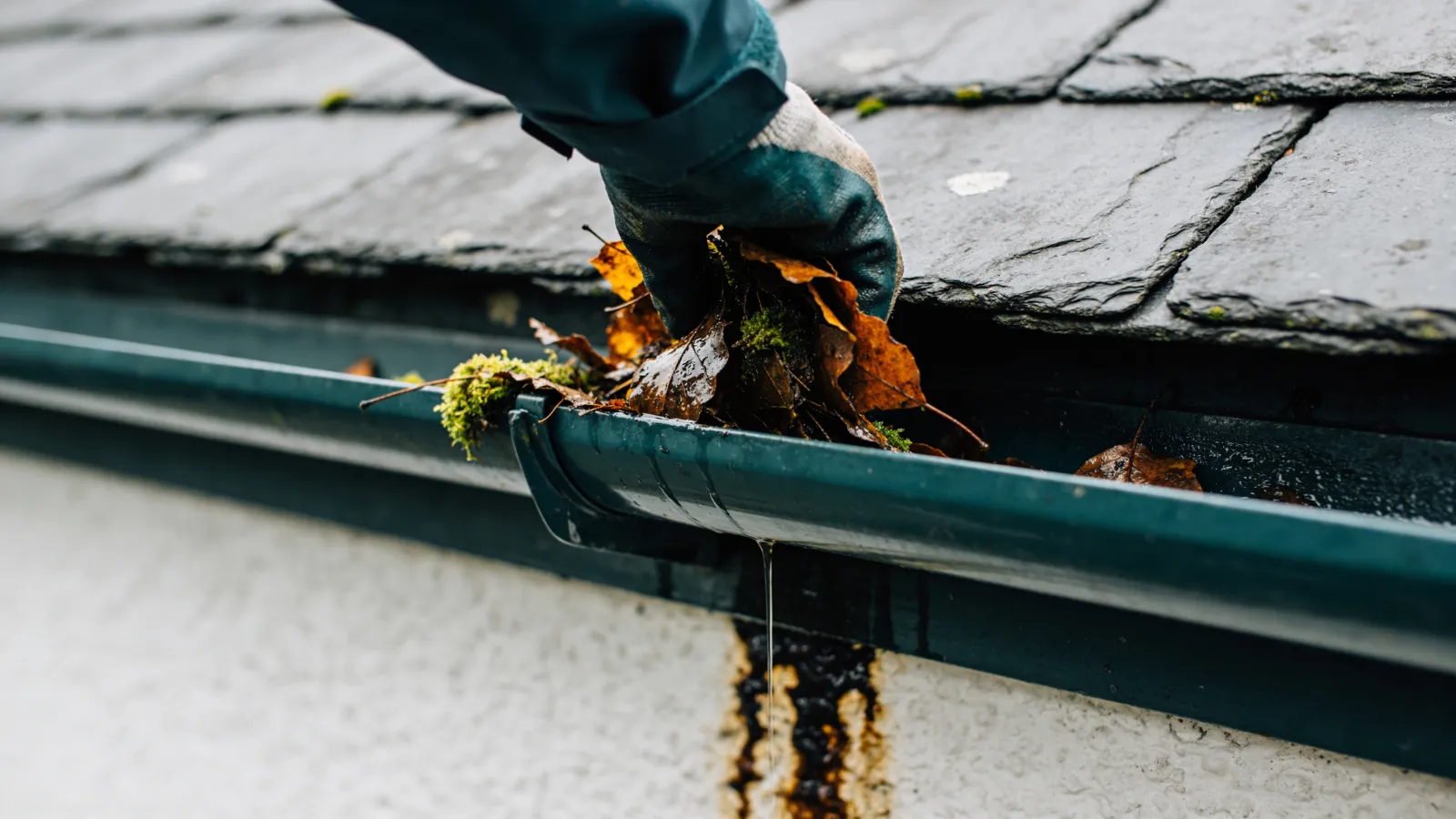 Gutter cleaning: the small job that prevents big problems