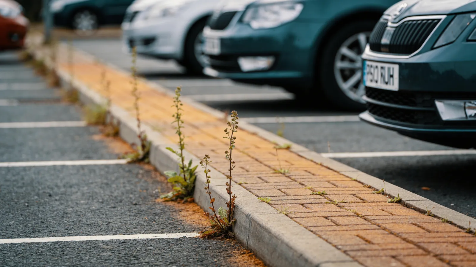 Weed control for commercial sites, without the headache