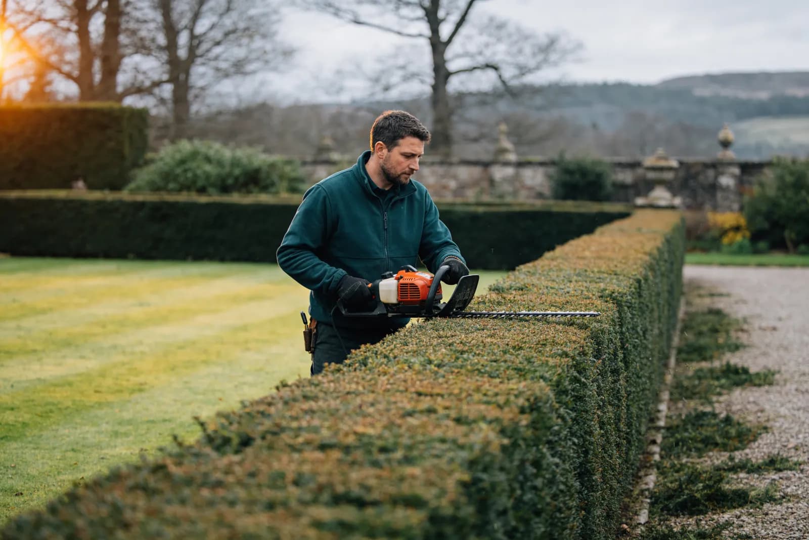 A groundsperson trimming a long formal hedge